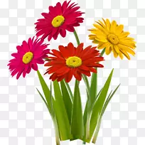 ���軨ƿ������-������