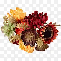 ��Ʒʵ�����ֲ��-������