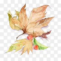 水彩枯叶-空若网 水彩枯叶-空若网