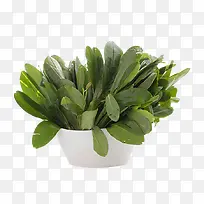 һ�����ʵ��˲β˸���ͼƬ-������