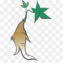 带有绿叶的人参插画-空若网 带有绿叶的人参插画-空若网