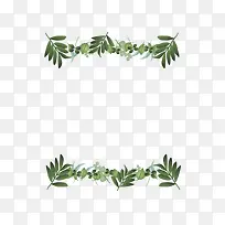 绿叶-空若网 绿叶-空若网