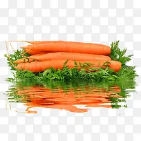 �����ܲ�-������