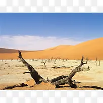 蓝天白云沙漠枯树树枝-空若网 蓝天白云沙漠枯树树枝-空若网