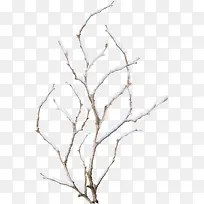雪花树枝-空若网 雪花树枝-空若网