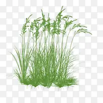 大的草丛-空若网 大的草丛-空若网