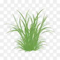 ��ɫ�Ĳ�-������