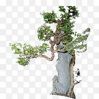 ����-������