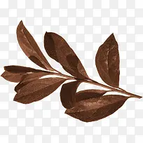 枝叶-空若网 枝叶-空若网