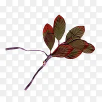 ¿ÝÖ¦-¿ÕÈôÍø ¿ÝÖ¦-¿ÕÈôÍø