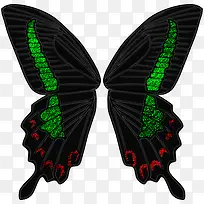 蝴蝶翅膀-空若网 蝴蝶翅膀-空若网
