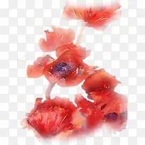 �ֻ�ˮ�ʸ��ź컨-������