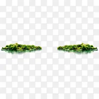 河边的树倒影-空若网 河边的树倒影-空若网