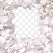 ���⻨�걳��-������