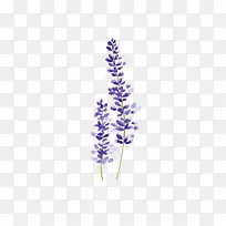 ×Ïɫ޹Ò²ÝË®²Ê»-¿ÕÈôÍø ×Ïɫ޹Ò²ÝË®²Ê»-¿ÕÈôÍø