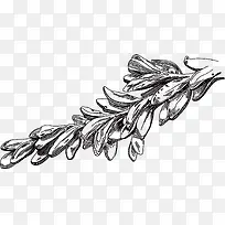 ��ֲ֦�����辫��-������