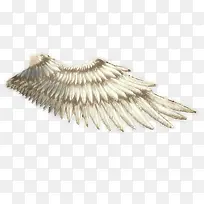 �Ұ������-������