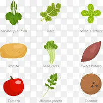 矢量手绘卡通蔬菜-空若网 矢量手绘卡通蔬菜-空若网