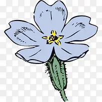 手绘月见草-空若网 手绘月见草-空若网