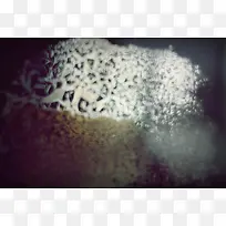 ֯���ս�����-������