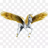 飞马壁纸-帕伽索斯png文件-空若网 飞马壁纸-帕伽索斯png文件-空若网