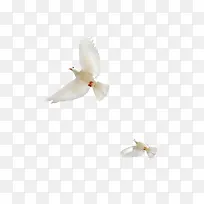 ǩ��ǽװ�θ������ͼ�ز�-������