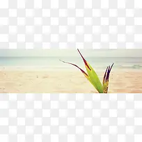 ɳ̲±³¾°-¿ÕÈôÍø ɳ̲±³¾°-¿ÕÈôÍø