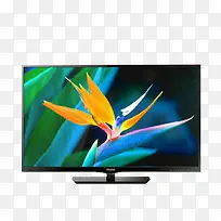 ��Ʒʵ�ﺣ�����ӻ�-������