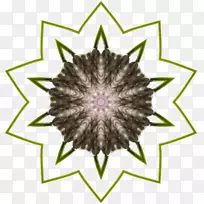 紫罗兰对称开花植物格局-野花-空若网 紫罗兰对称开花植物格局-野花-空若网