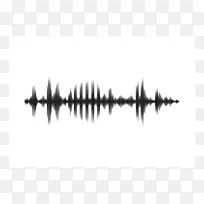 曼彻斯特大学单色摄影-声波-空若网 曼彻斯特大学单色摄影-声波-空若网