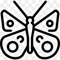 小蝴蝶图标-空若网 小蝴蝶图标-空若网