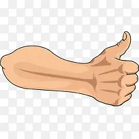 ��ָ�����ز�-������