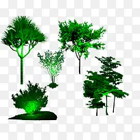 µÆ¹âÕÕÊ÷1-¿ÕÈôÍø µÆ¹âÕÕÊ÷1-¿ÕÈôÍø