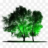 灯光照树2-空若网 灯光照树2-空若网