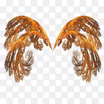 火焰剪贴画的翅膀-空若网 火焰剪贴画的翅膀-空若网