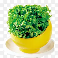 ������������ʳ-������