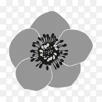 ����ֲ�ﻨ�꿪��ֲ��-���ʱ�Ե-������