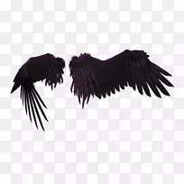 机翼桌面壁纸-翅膀-空若网 机翼桌面壁纸-翅膀-空若网