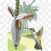 热带雨林动植物插画-空若网 热带雨林动植物插画-空若网