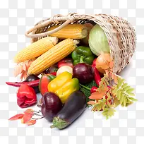 蔬菜-空若网 蔬菜-空若网