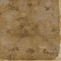 黄色植物花卉背景-空若网 黄色植物花卉背景-空若网