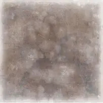 朦胧的植物背景-空若网 朦胧的植物背景-空若网