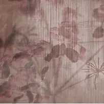 ���ʵĻ��ܱ���-������