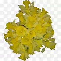 切花花瓣婚礼花束-花黄色-空若网 切花花瓣婚礼花束-花黄色-空若网