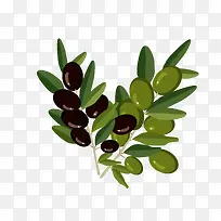 橄榄油标签-空若网 橄榄油标签-空若网