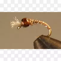 ������˿����ͭ�������˿-������