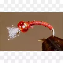 带刺铁丝网昆虫珠色-空若网 带刺铁丝网昆虫珠色-空若网