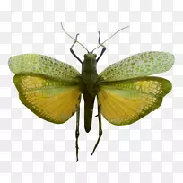 �������������-������Ƭ-������