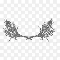 麦穗边框-空若网 麦穗边框-空若网