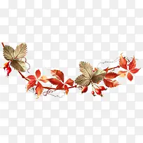 秋的树枝-空若网 秋的树枝-空若网